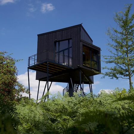 Treeangle - K1 Baumhaus Villa Odenthal Exteriör bild