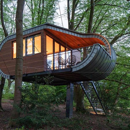 Treeangle - K1 Baumhaus Villa Odenthal Exteriör bild