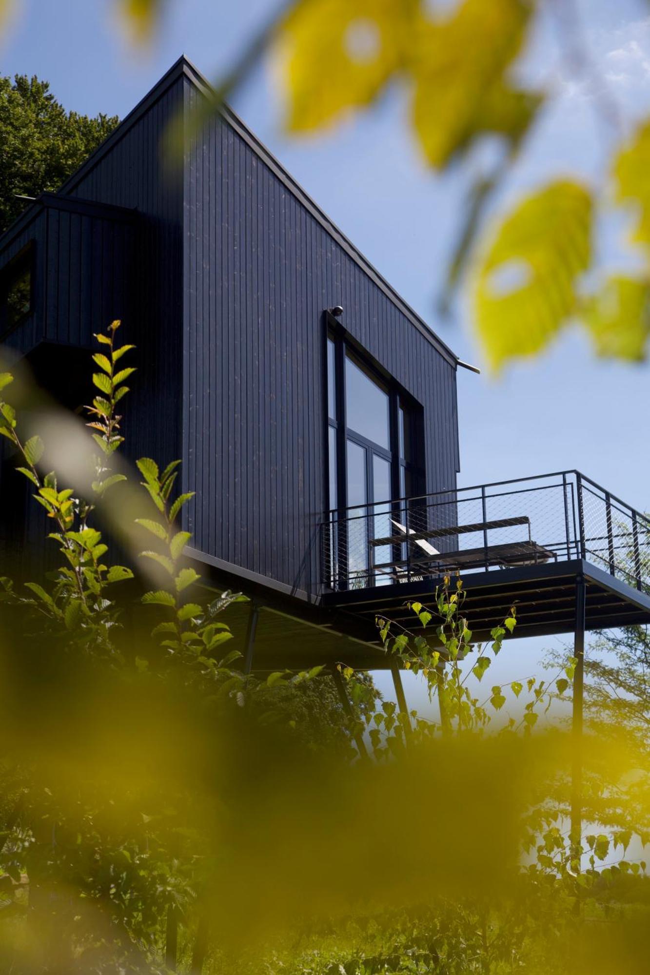 Treeangle - K1 Baumhaus Villa Odenthal Exteriör bild