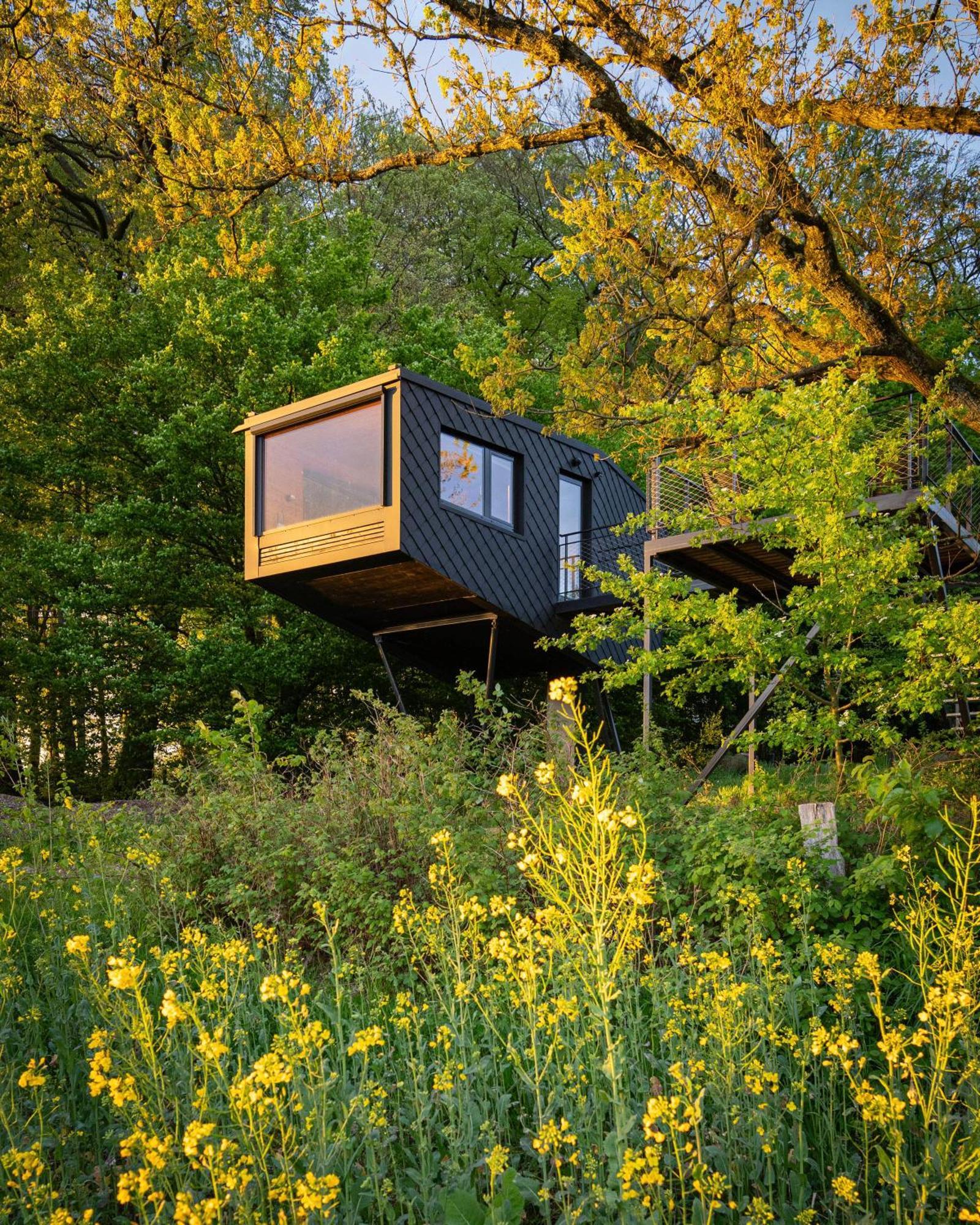 Treeangle - K1 Baumhaus Villa Odenthal Exteriör bild